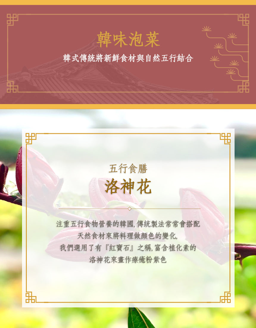 韓味傳統蘿蔔圓片(全素) 5/6~5/18出貨
