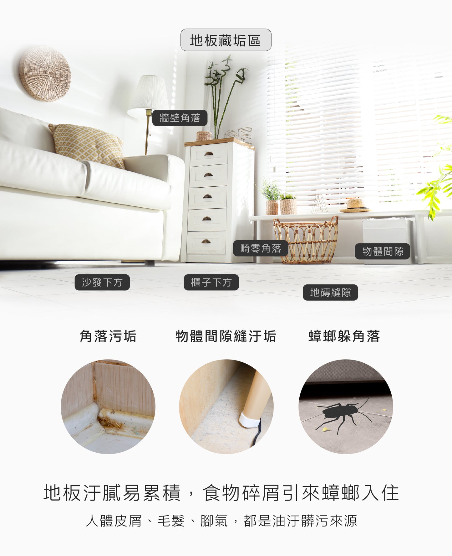 毒打【居家清潔系列】（單件）