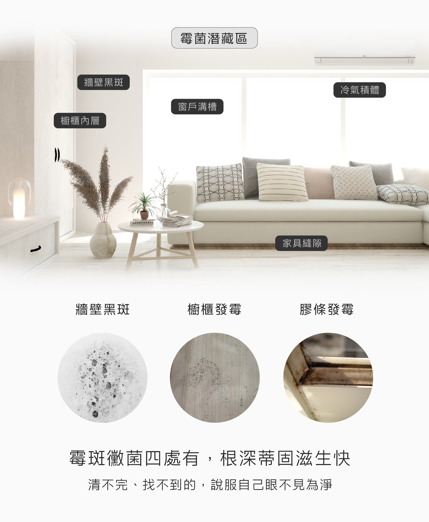 毒打熱銷【清潔組】（三選二）